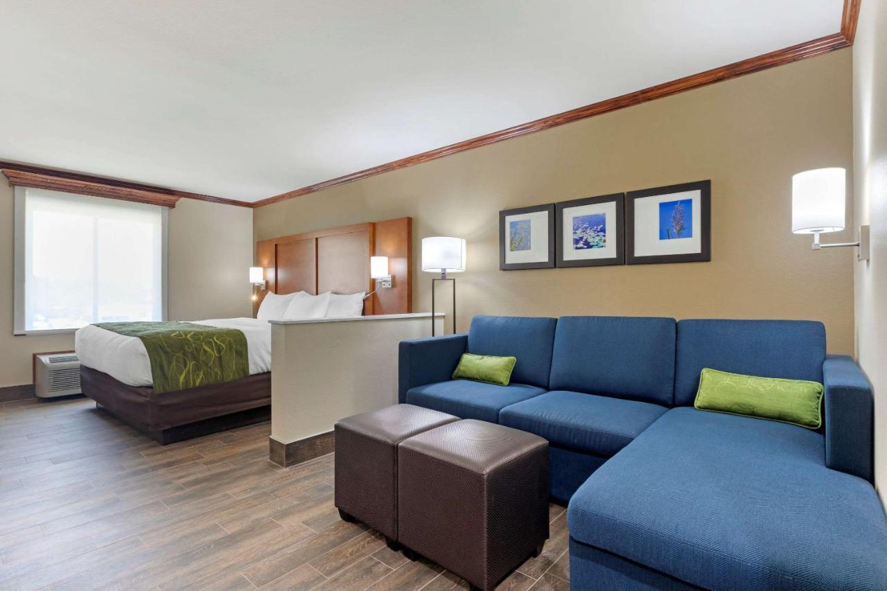 Comfort Suites West Monroe Near Ike Hamilton Expo Center Dış mekan fotoğraf
